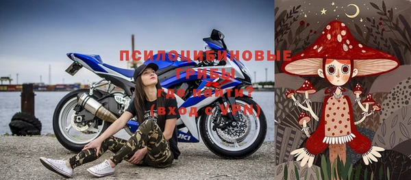 стаф Козельск