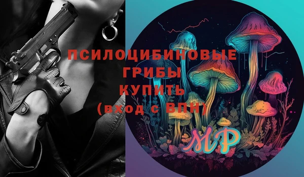 стаф Козельск